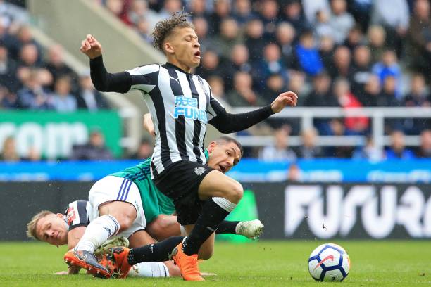 整支球队也 整支球队也