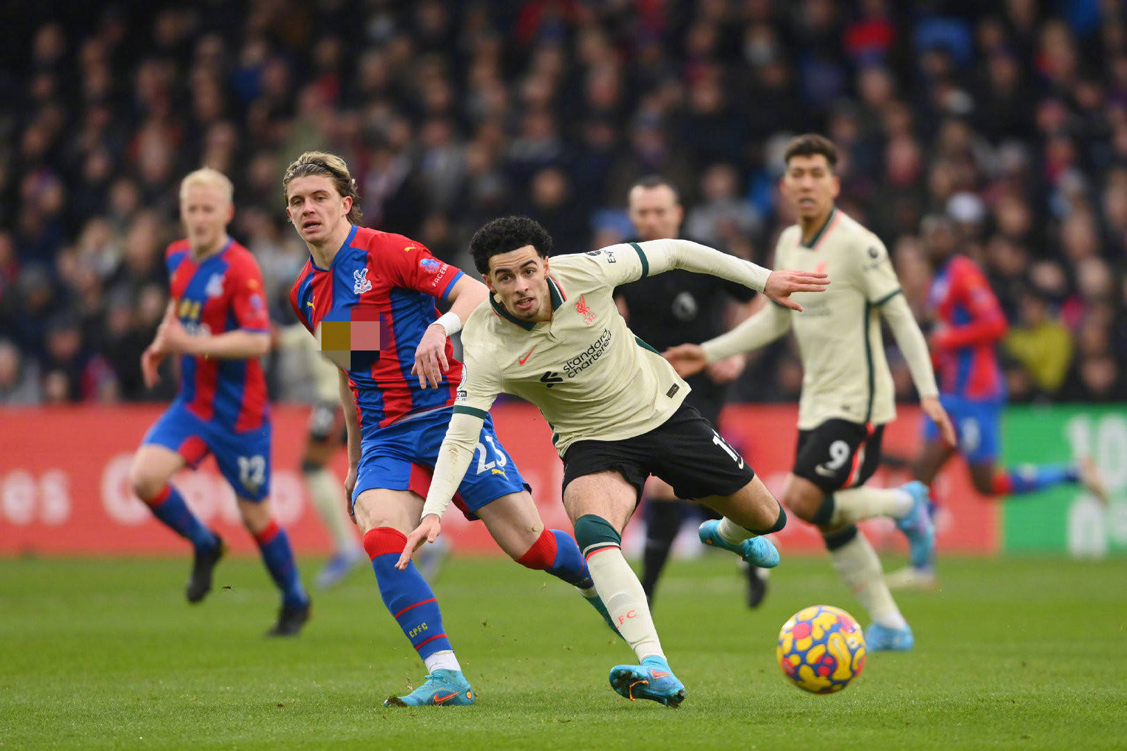 这个价格的 这个价格的